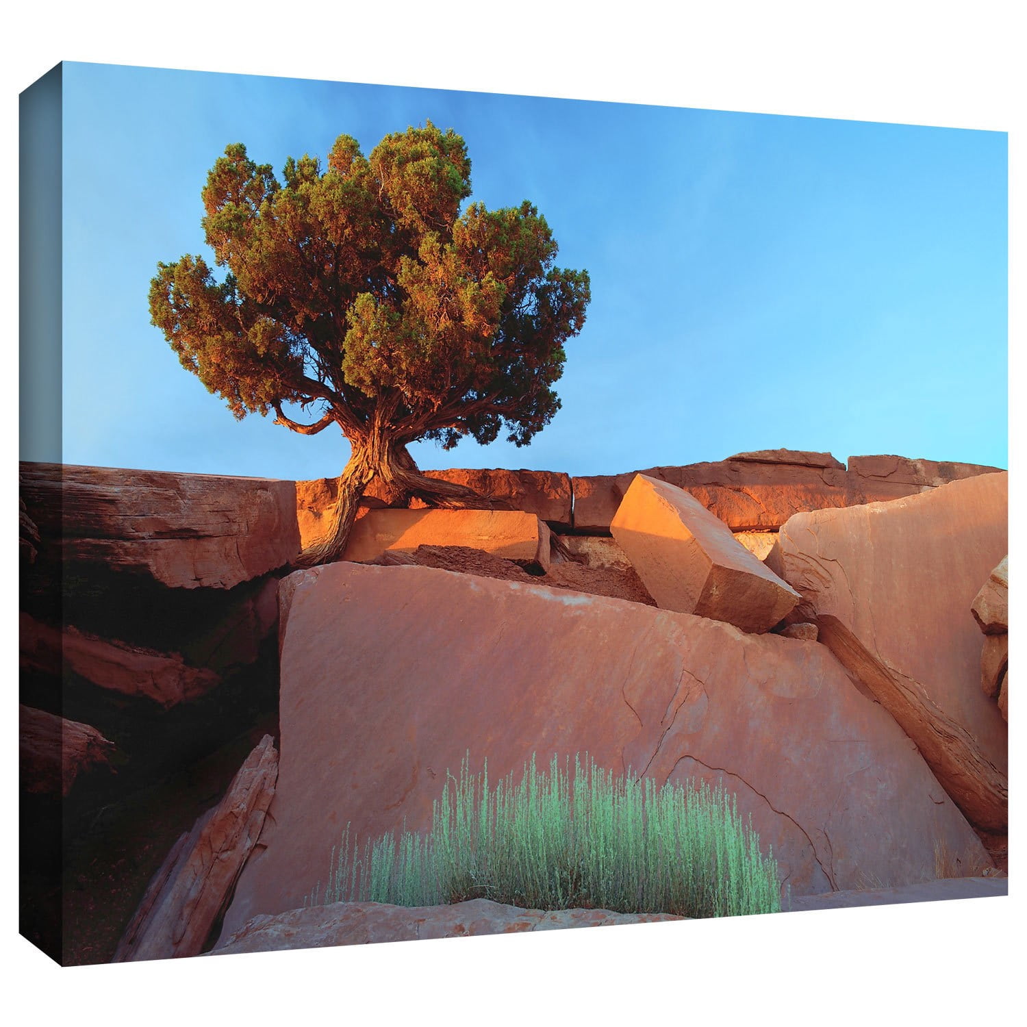 Dean Uhlinger "Dead Horse Point" Gallery-Wrapped Canvas