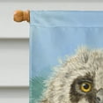thumbnail image 3 of Carolines Treasures ASA2126CHF Owlets Drapeau Toile Taille Maison, 3 of 4
