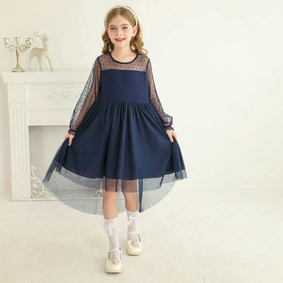 JUoaLXG Toddler Girls Casual Dresses Spring Mesh Solid Color Round Neck Long Sleeve A Line Dress Streetwear,Blue,3-4 Years