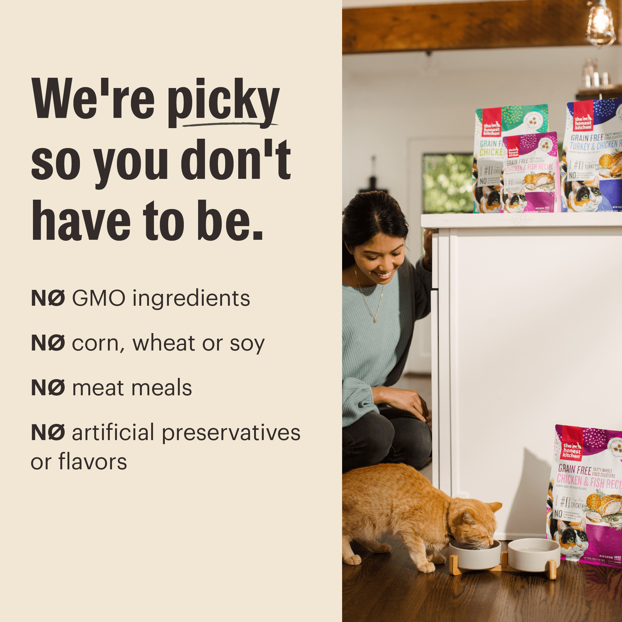The Honest Kitchen Human Grade Whole Food Clusters Grain Free Chicken & Fish Dry Cat Food, 10 lb Bag