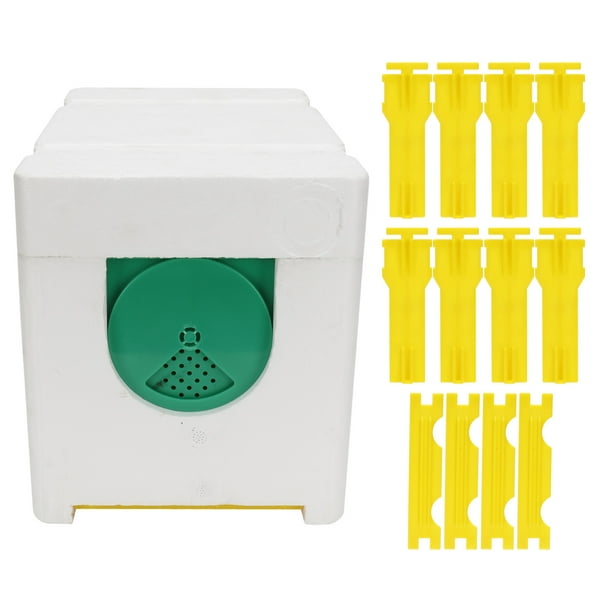 Caja de apareamiento de abejas, Caja de apareamiento de abeja reina Caja de apicultura Equipo de apicultor Diseño de clase mundial Jadeshay A