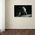 thumbnail image 3 of Trademark Fine Art 'Roman' Canvas Art by Thom Sivo, 3 of 3