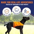 thumbnail image 3 of Chaleco para perros SafetyPup XD Lite Blaze naranja reflectante grande, 3 of 8