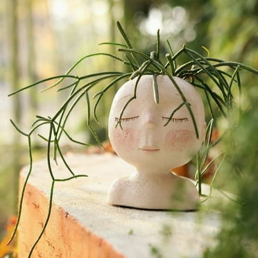 Face Flower Pot Head Planter Pot Succulent Planter Resin Decor w/ Drainage Hole