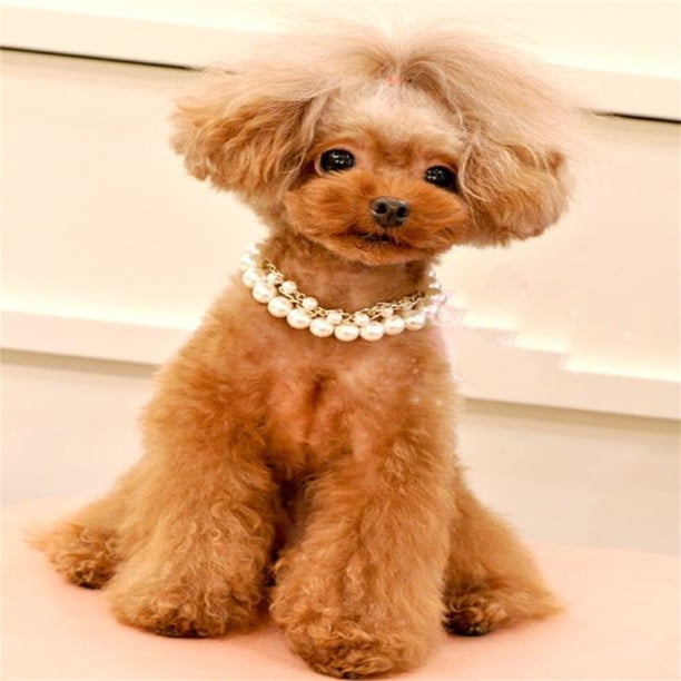 XWSHYW Ropa para Mascotas para Perros Grandes. Collar de Perlas para Perro, Joyería para Cachorro, Collar de Diamantes de Imitación Brillantes, Collar de Perro Ostentoso, Collar de Joyería para Masco
