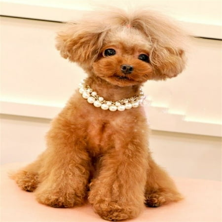 potrochi Dog Pearl Necklace  Fancy Cat Wedding Collar Jewelry  Durable Dog Necklace  Cute Fashion Pet Collar for Dog  Light Pearl Jewelry Bold Puppy Accessories  Pet Necklace Gift