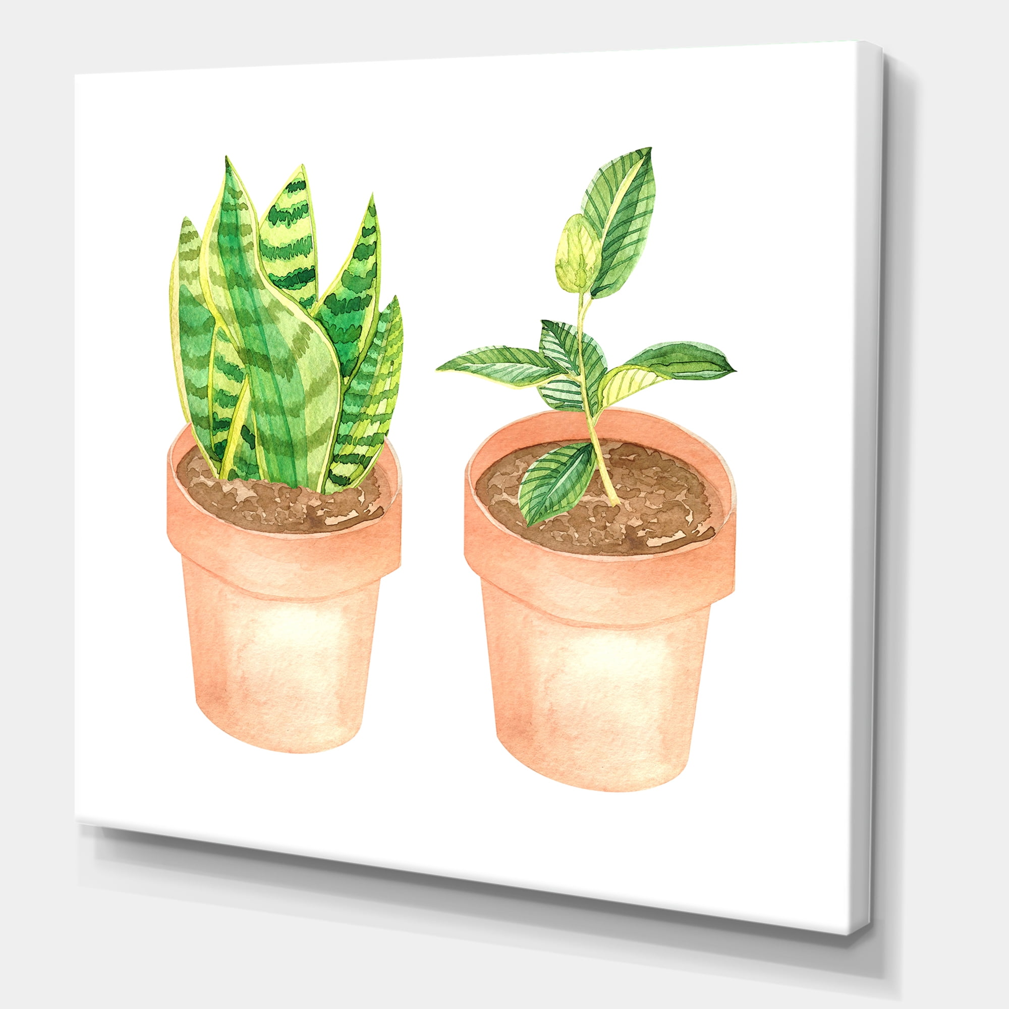 Ficus and Sansevieria Indoor Green Home House Plants 30 in x 30 in Painting Canvas Art Print, by Designart