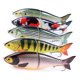 thumbnail image 2 of Señuelo de pesca CC18 con diseño realista, ojos 3D y cuerpo articulado para movimiento natural en agua. Ideal para entusiastas de la pesca en agua dulce y salada., 2 of 6