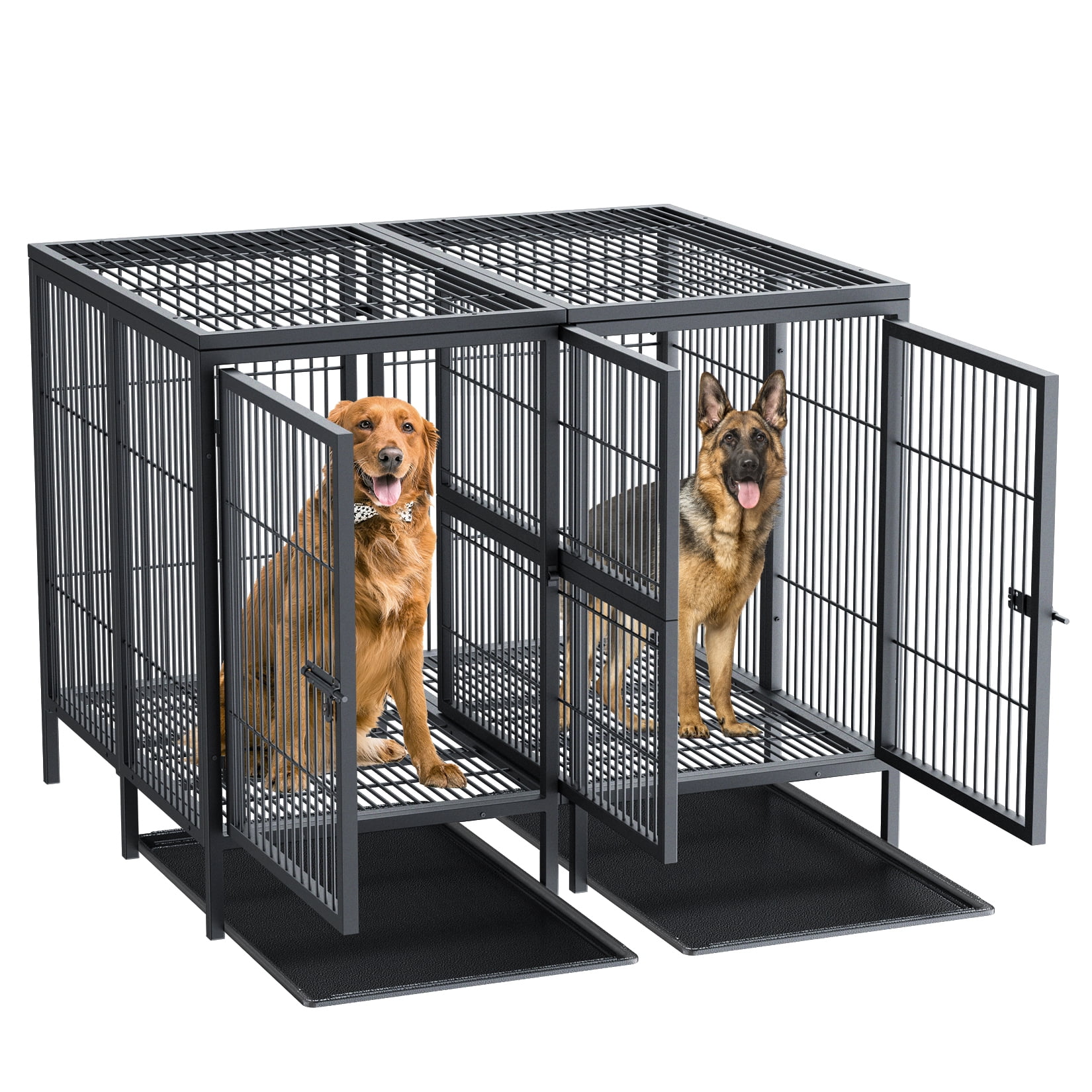 View of BingoPaw Heavy Duty Metal Dog Crate with Divider & Tray, 51.5