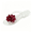 White, variant on Willtoo Plastic Grape Jelly Sandals House Slippers Outdoor Flats Cute Shoes Y2k Aesthetic Slides Women Summer Beach Vacation