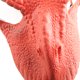 thumbnail image 5 of Máscara bucal móvil de dinosaurio, cubierta facial de dinosaurio de látex natural para Halloween, Navidad, Pascua, 5 of 9