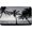Gray Black, variant on Black and White Palm Tree Bath Mat Hawaii Beach Landscape Tropical Jungle Rain Forest Plant Tropical Plam Leaves Minimalism Exotic Bathroom Kitchen Rugs,16x24 Inch