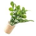 thumbnail image 3 of Miangastore Doll House Plant Miniature Bonsai Decoration Mini Potted Plant Model Mini Greenery Ornament, 3 of 8