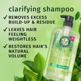 thumbnail image 3 of HERBAL ESSENCES Shampooing Éclaircissant au Théier, 3 of 17
