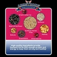 thumbnail image 5 of Armstrong Wild Bird Food Royal Jubilee Persistence Blend, 13 Pounds - with Black Oil Sunflower, Nuts, Safflower, Dried Raisins, Cranberries & Cherries for Downy Woodpeckers - Ideal for Outside Feeders, 5 of 6