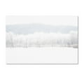 thumbnail image 2 of Trademark Fine Art "Abstract Winter Beaver Marsh" Canvas Art by Kurt Shaffer, 2 of 4