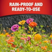 Garden Tech Daconil Fungicide 3-Way Control, Ready-to-Use Spray, 32 Fluid Ounce, 1 Spray Bottle