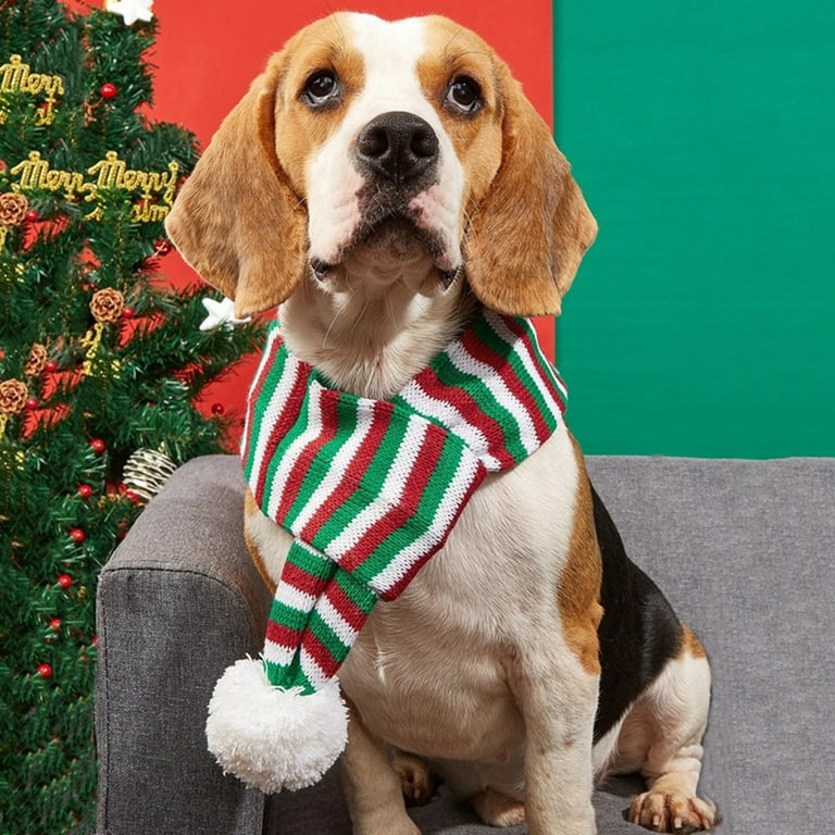Dog hair cheap scarf