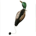 thumbnail image 2 of Mimics Dead Duck Bumper Toy For Training Puppies Or Hunting Dogs Teaches Mallard Waterfowl Game Retrieval, 2 of 8