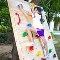 thumbnail image 2 of TOPNEW 20 PCS Rock Climbing Holds for Kids, Rock Wall Holds with 6.56 Ft Climbing Rope and 2 Handles, Rock Wall Climbing Kit for Indoor and Outdoor Playset - Includes Mounting Hardware, 2 of 6