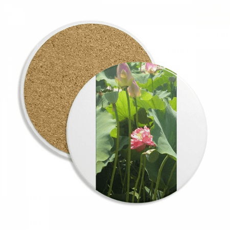 

Withered Lotus Pond Art Deco Fashion Coaster Cup Mug Tabletop Protection Absorbent Stone