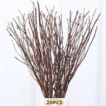 20Pcs Birch Twigs 17" Long Natural Dried Plants Decorative Birch Branches for DIY Crafts, Birch Sticks for Vases Wedding Arrangements Home Wreath Decor