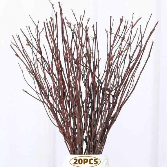 20Pcs Birch Twigs 17" Long Natural Dried Plants Decorative Birch Branches for DIY Crafts, Birch Sticks for Vases Wedding Arrangements Home Wreath Decor