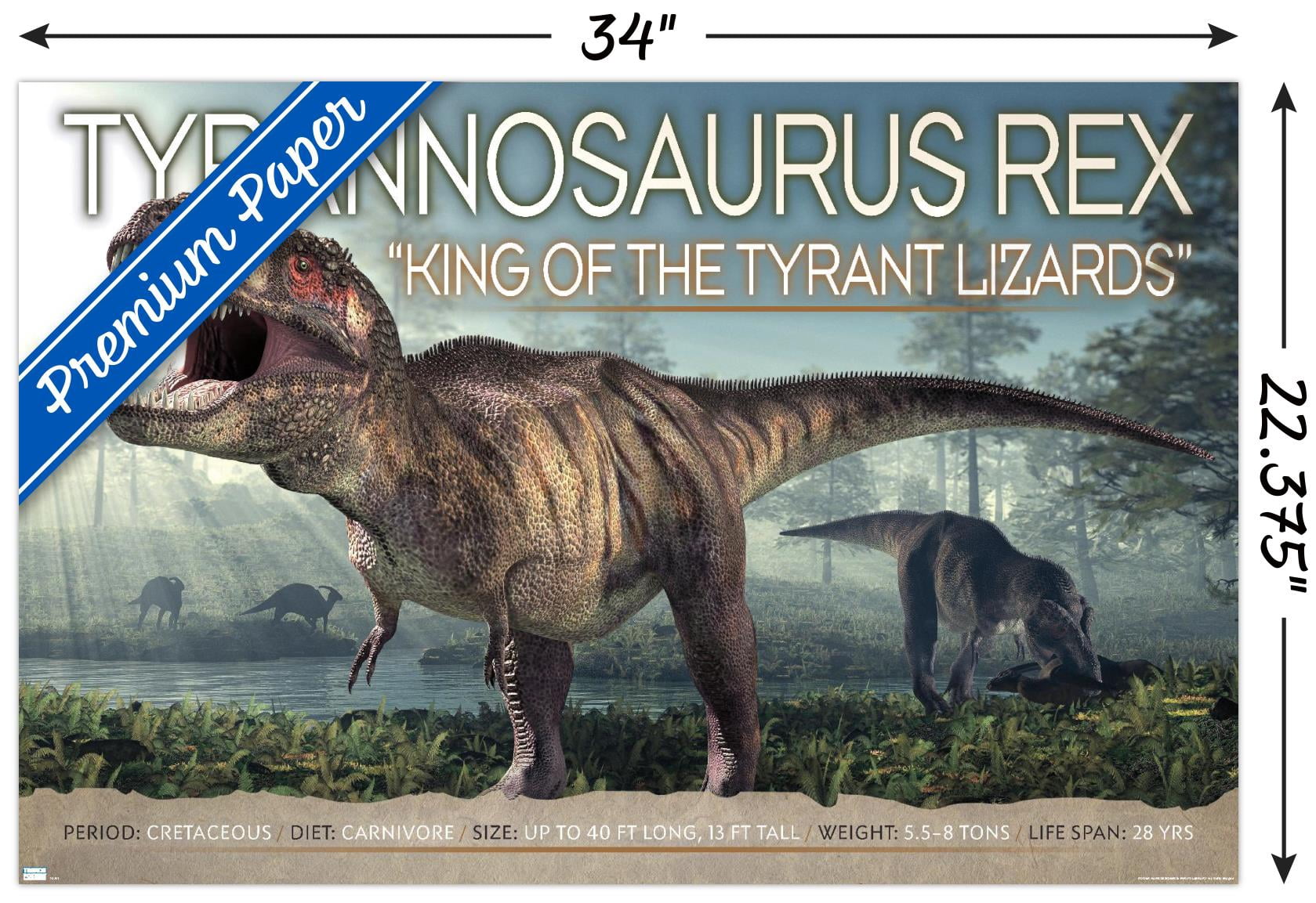 Dinosaurs - T-Rex Wall Poster, 22.375" x 34"