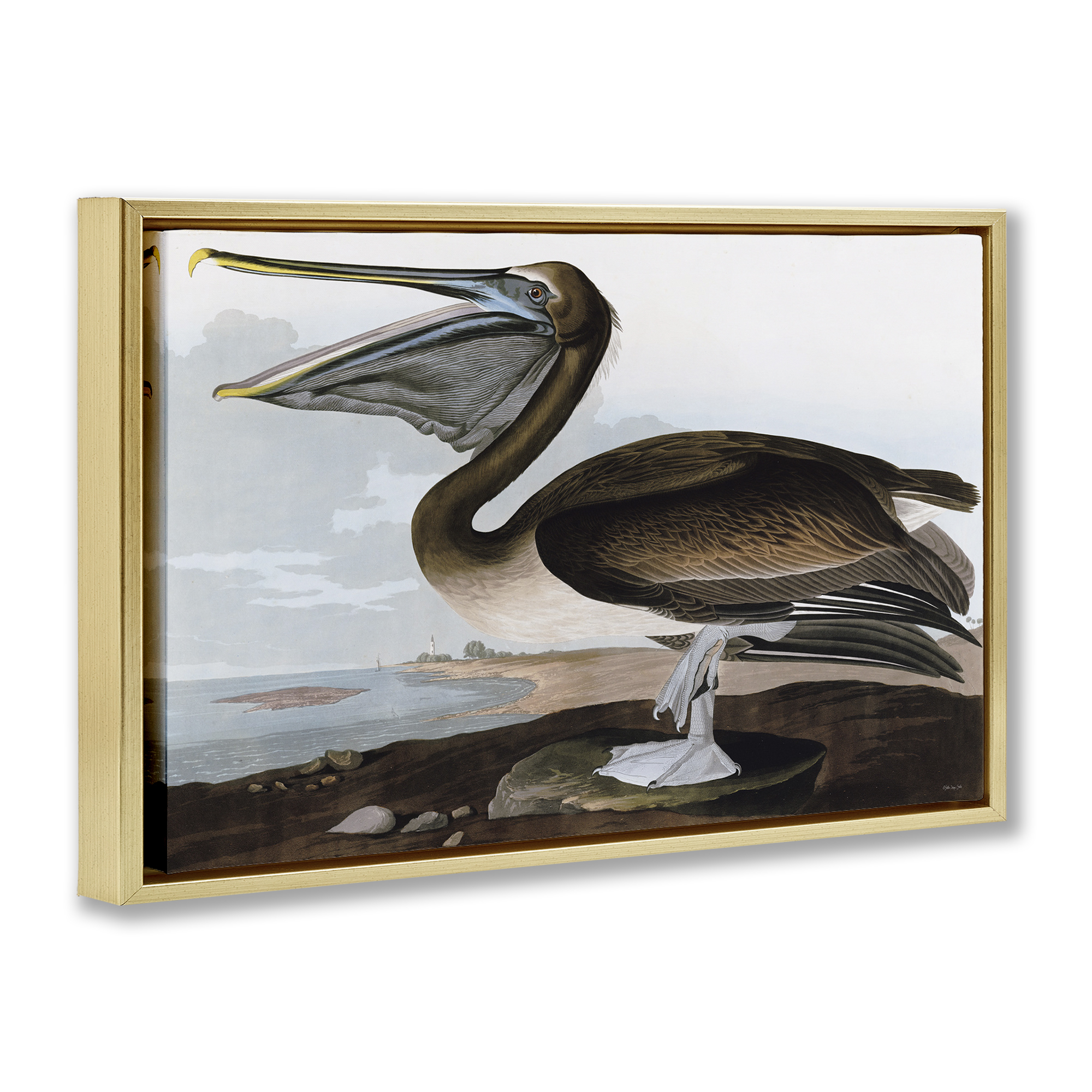Stupell Industries Classic Pelican at Beach Animals & Insects Painting Gold Floater Framed Canvas Art Print Wall Art, 31 x 21
