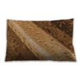 thumbnail image 1 of Ahgly Company Indoor Rectangular Contemporary Lumbar Throw Pillow, 13 inch by 19 inch, 1 of 5