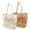 Beige Khaki, variant on Beach Nylon Mesh Tote Bag, Casual Tote Bag Hobo Women Foldable MAX 23L Shoulder Bag For Beach Picnic Vacation