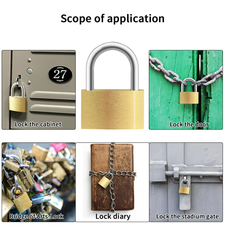 DELSWIN Covered Aluminum Padlock – 2.5 Inch Shackle, 2 Keys, Weatherproof Locker Lock For Gym, Toolbox, Gate, Shed