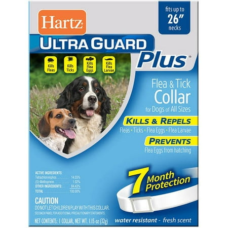flea collar for dogs walmart ultra guard plus flea and tick collar for dogs walmart flea collar for dogs walmart ultra guard plus flea and tick collar for dogs walmart
