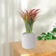 thumbnail image 5 of Crea hojas tropicales altas y brillantes para decorar interiores y exteriores en cualquier época del año. Decoración para patios y porches. Embellece tu jardín., 5 of 5