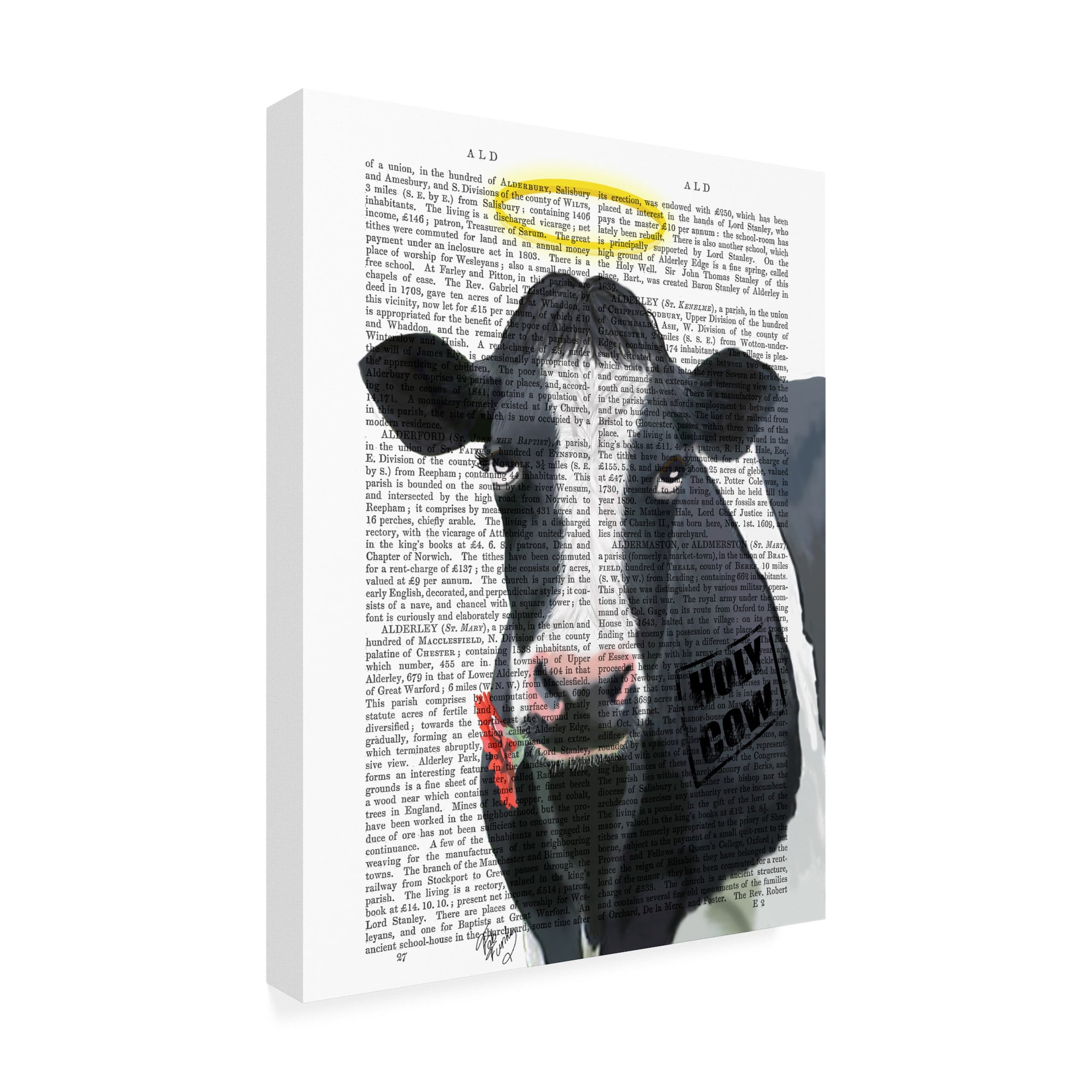 Trademark Fine Art 'Holy Cow Halo' Canvas Art by Fab Funky