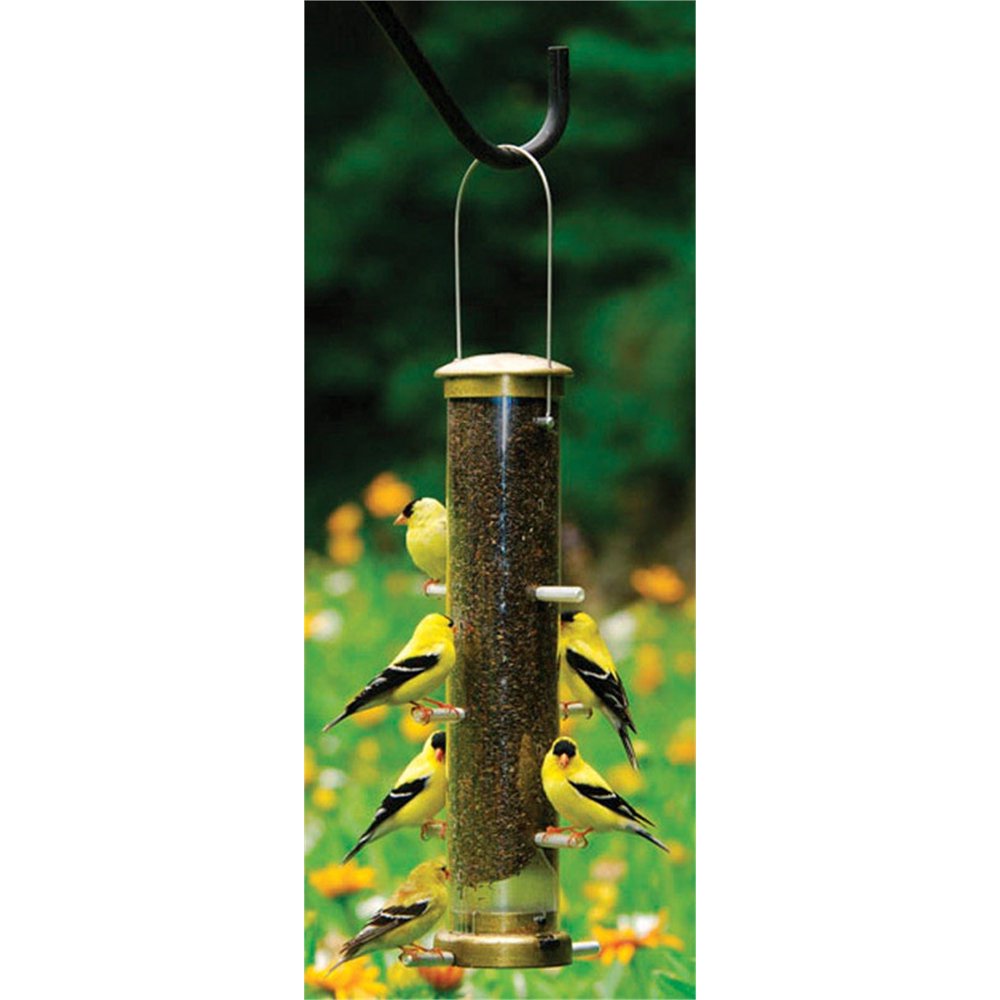 Cole's Nifty Niger Wild Bird and Finch 1.25 Polycarbonate Bird Feeder 8
