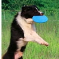 thumbnail image 3 of Soft Non-Slip Dog Flying Disc, 3 of 6