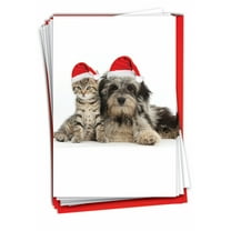 12 Merry Christmas Cards Pack (1 Design, 12 Cards) - Copy Cats B6596FXSG