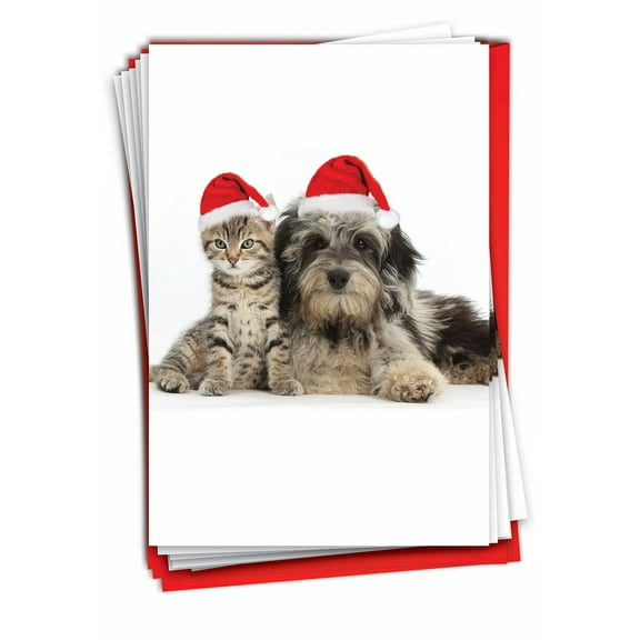 12 Merry Christmas Cards Pack (1 Design, 12 Cards) - Copy Cats B6596FXSG