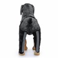 thumbnail image 3 of Double Rear Leg Protection Dog Knee Brace For Acl Knee Cap Dislocation Arthritis Keeps The Warm Extra Support Z, 3 of 5