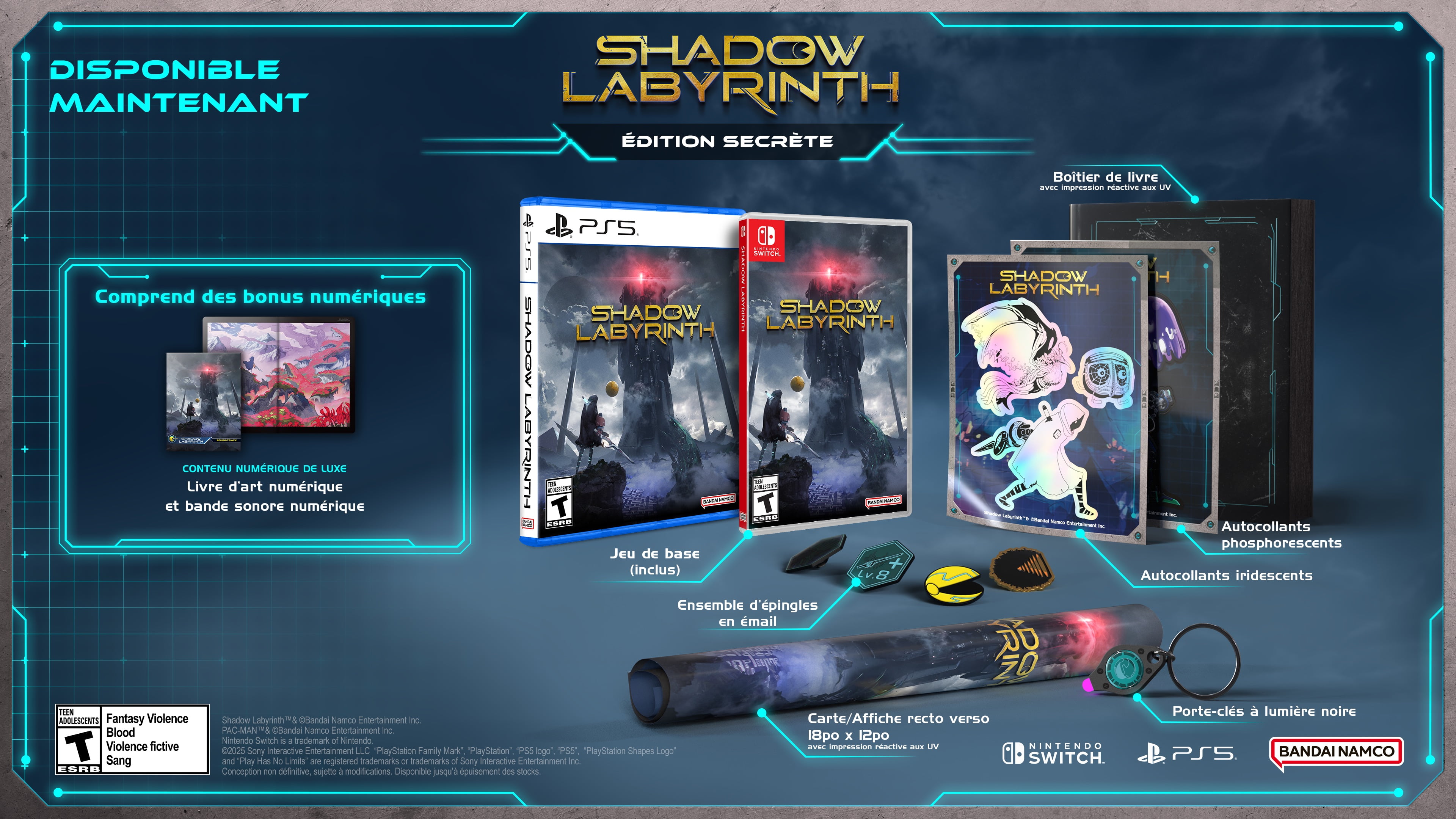 Jeu vidéo Shadow Labyrinth Édition Secrète pour (PS5)