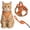 Saffron#002, variant on Cat Harness and Leash, 2026 New Escape-Proof Cat Harness Set, Adjustable Step-in Pet Harness for Walking for Small Medium Dogs/Cats(Saffron,L(for 8.8-16.5 IB))