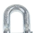 thumbnail image 3 of 1 Piece. Shackle D Buckle Pin Alloy Steel Rigging Galvanized 16mm, 3 of 8