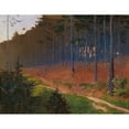 thumbnail image 2 of Gustav Bamberger 24x19 Black Ornate Framed Double Matted Museum Art Print Titled: Forest Path Near Weinzierl, 2 of 5