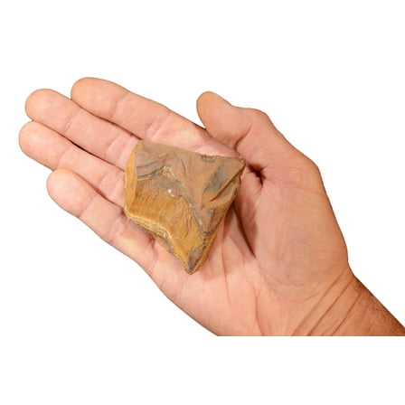 Kidz Rocks Brown Tigers Eye 3" 8-12 oz Raw Chakra Healing Crystal Rock Mineral Specimen