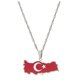 thumbnail image 1 of Sonducket Collar de acero de primera calidad con mapas de países turcos, colgante con diseño de bandera de mapa étnico de Turquía, amuleto Ropa, zapatos y accesorios Miscelánea Plata, 1 of 6
