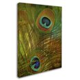 thumbnail image 2 of Trademark Fine Art "Peacock Candy II" Canvas Art by Color Bakery, 2 of 3
