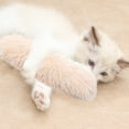 thumbnail image 3 of Jouet pour Chat Oreiller Doux et durable Jouet Interactif Intérieur, 3 of 4