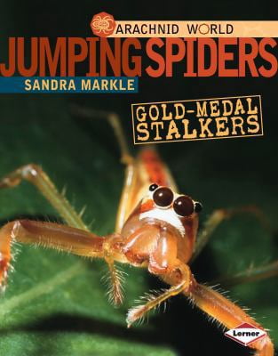Pre-Owned Jumping Spiders: Gold-Medal Stalkers (Library Binding) 0761350470 9780761350477