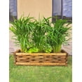 thumbnail image 2 of Maceta de madera jardinera Hanlob tipo pino, 2 of 7